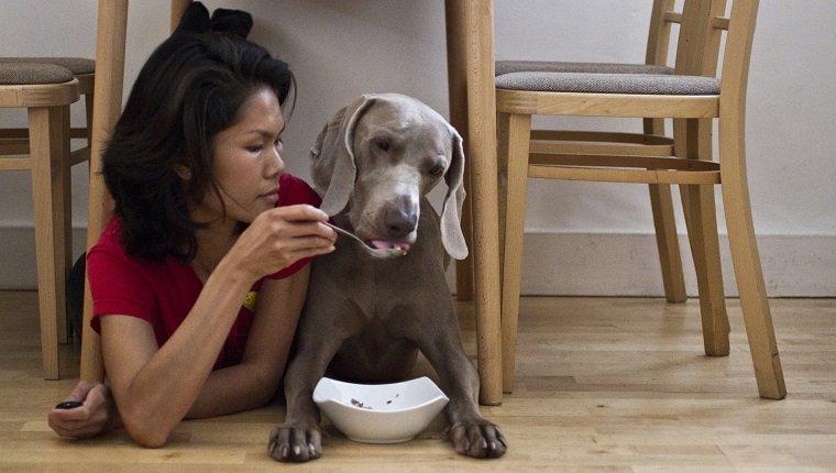 Woman spoon feeding dog under dining table