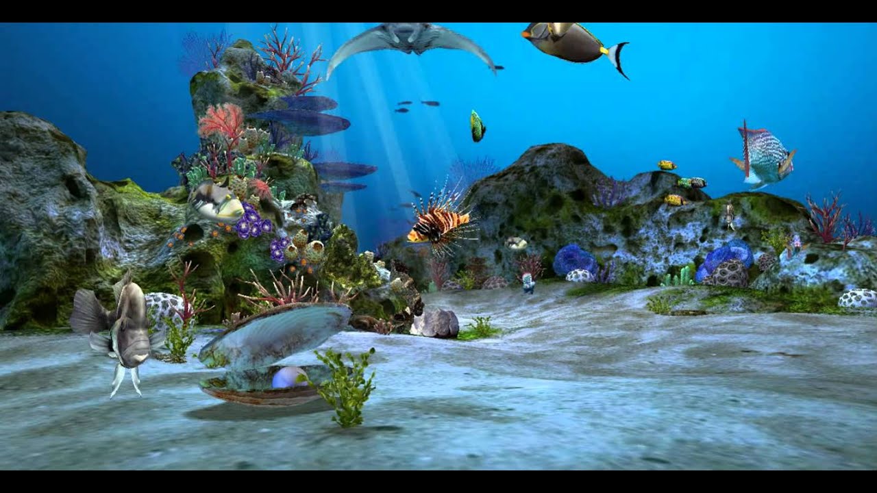 Aquarium 3d Live Wallpaper A Must For The Smartphone